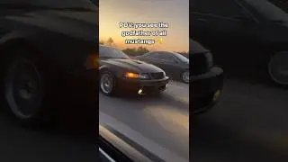 Terminator Cobra Reaction! 🤣
