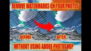 Remove Watermarks on Your Photo without Using Photoshop