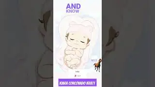 Kiara Corcovado Kratt