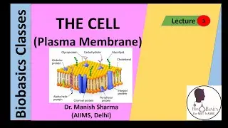 The Cell: Plasma Membrane Chapter 8 NCERT