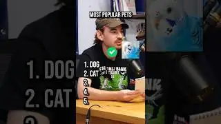 Most popular pets! #animals #pets #dog #cat #bird #ranking #list #top5