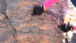 Stories from the Rocks