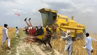 Combine Wheat Harvester Machine | Heavy Field Harvest & High Capacity Grain Unloading | 4K HD