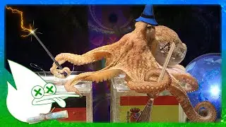 The Tale of Paul the Psychic Octopus | WorldTold