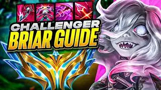 HOW TO PLAY BRIAR! RANK 1 CHALLENGER BRIAR GUIDE!
