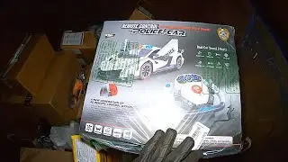 Dumpster Diving 