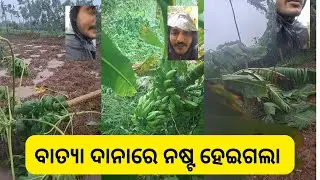 ବାତ୍ୟା ଦାନାରେ ନଷ୍ଟ ହେଇଗଲା // my persional vlog