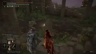 Elden Ring PVP/Invasions