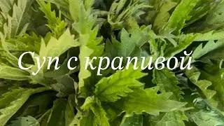 Витаминная бомба#Суп с крапивой#зелёный#свежий#быстро_без_заморочек_все#очень/просто👌