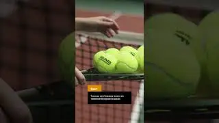 А знали ли вы, что теннисные мячи… #shorts
