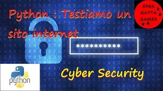 Python Cyber Security: testiamo il tempo di risposta di un sito internet -Tutorial Italiano
