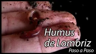 Humus de Lombriz, Paso a Paso con los desperdicios de tu cocina.