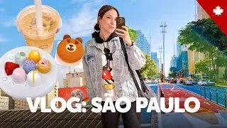 Meus ÚLTIMOS DIAS no BRASIL! Passeios em SP, amigas, AIRBNB, exames, DIU e um desabafo...