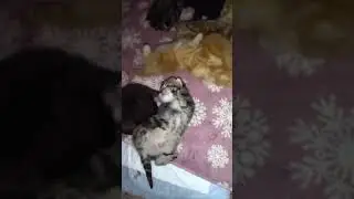 лежат рядом