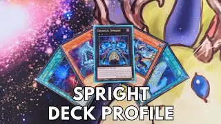 Competitive Spright deck profile July 2024 TCG Yugioh