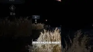 Волка жмыхнуло 