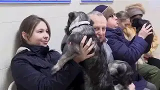 Ветеринарная клиника Приморского района. Круглосуточный стационар.