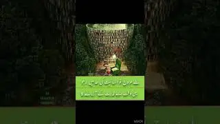 Copyright free Naat#اقوال زریں shorts #youtubeshort #shortfeed #viral #islamicpost #beautyofnorway