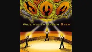 Wide Mouth Mason - Mad Doctor