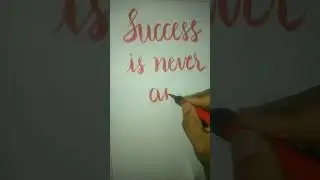 Success is never an accident l shorts l