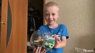 Посчитали мою копилку / у меня редкая купюра 100₽ чемпионат 2018