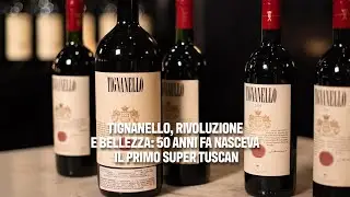 Tignanello, rivoluzione e bellezza: 50 anni fa nasceva il primo Super Tuscan