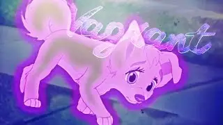 Animash MEP || Vagrant (FULL)