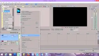 how to reverse a video on sony vegas pro 12