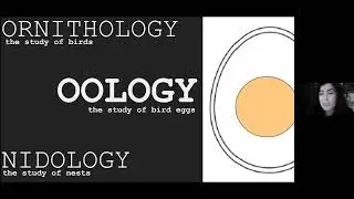 Collections Close-Up: Old Time Oology