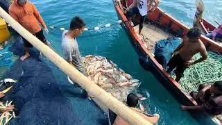 Luar biasa hasilnya Begini proses Penangkapan ikan di Rumpon Dangkal