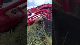 Заготовка сенажа из люцерны. Третий укос #агроном #люцерна