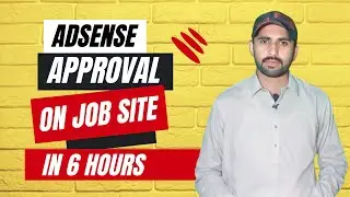 AdSense Approval On Blog Website ✅ Adsense Approval Site Case Study
