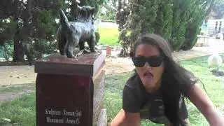Twerkin on Toto