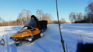22 февраля 2022 г.