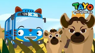 Brave Queen Hyena l Safari Bus Tayo l Learn Animals with Tayo & Vehicles l Tayo the Little Bus