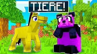 Minecraft aber wir VERWANDELN uns in MOBS