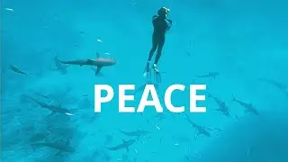 Pursuit of Peace | an Entrepreneur Revolt Original