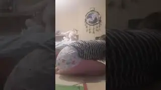 Little room clean 2
