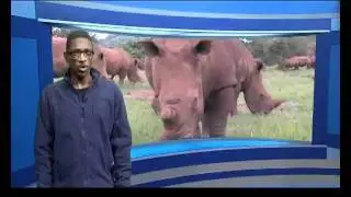 5050 Eps3 promo.mp4
