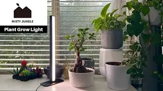 Misty Jungle Indoor Grow Light