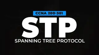 Spanning Tree Protocol - STP | FREE CCNA 200-301 Cisco Course