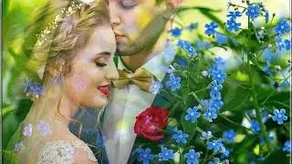 романтика  romantic sevishganlar jonli ijro
