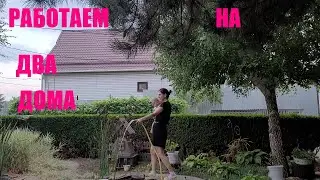 WE BOUGHT A HOUSE IN THE SOUTH /OUR LAND IS UNRECOGNIZABLE/HELPING MY SISTER IN HER NEW HOUSE/IT'...