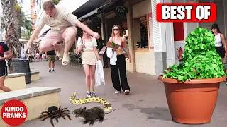 BEST PRANKS OF 2024 😂 FUNNIEST PRANKS OF THE YEAR (PART 01)