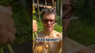 I Made Potatoes!!!