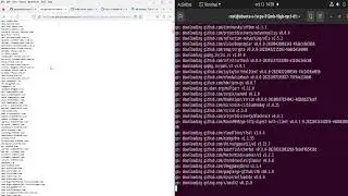 Pilot Episode: Installing httpx from projectdiscovery on an Ubuntu 20.04 from DigitalOcean