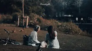 𝐏𝐥𝐚𝐲𝐥𝐢𝐬𝐭 로맨틱한 피아노 선율 | 잔잔한 음악 재생목록은 작업을 마치고 편안하게 듣기에 적합합니다