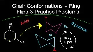 Organic Chemistry: Chair Conformations & Ring Flips w/ Practice Problems!  (Axial and Equatorial!)