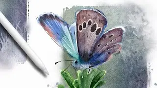 Watercolor Butterfly