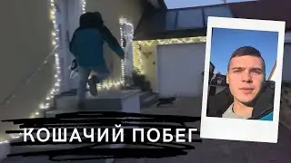 Влог 83. Slavka i: Кошачий Побег